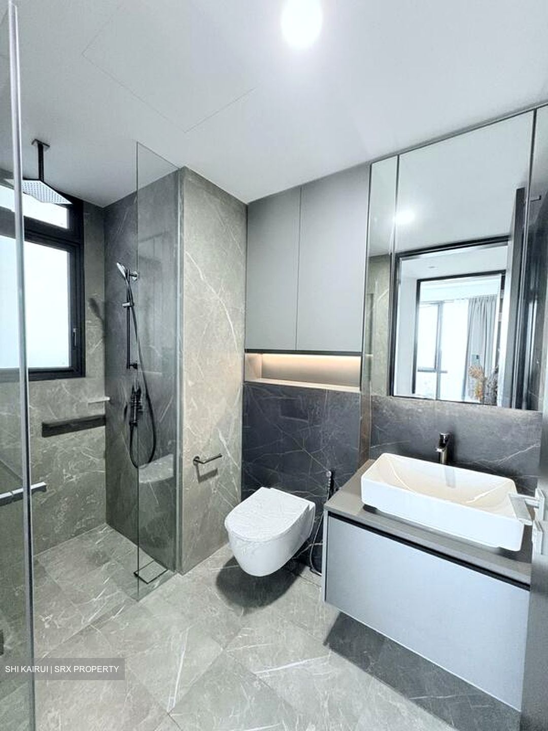 Irwell Hill Residences (D9), Apartment #514175681